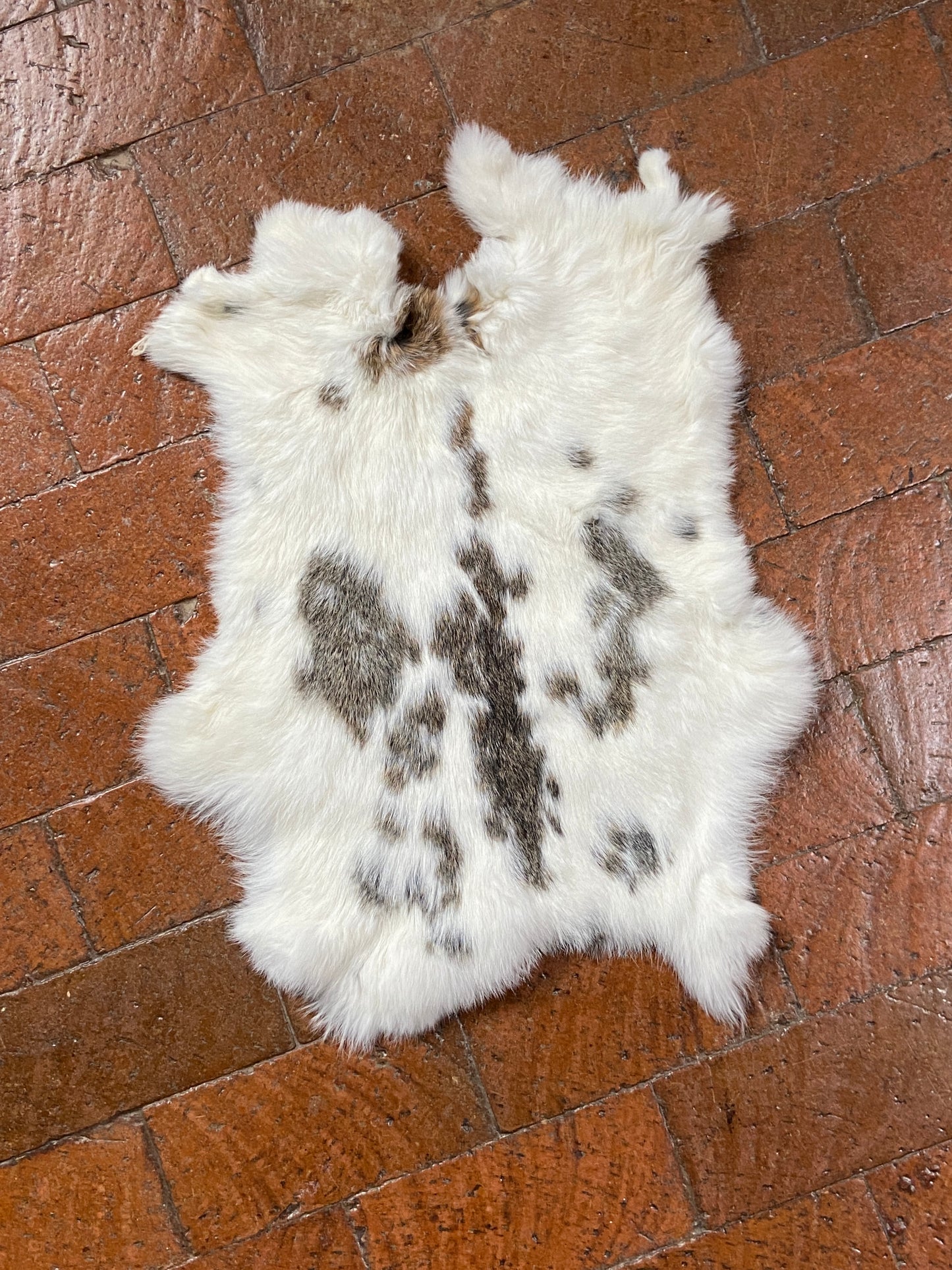 GENUINE RABBIT PELT