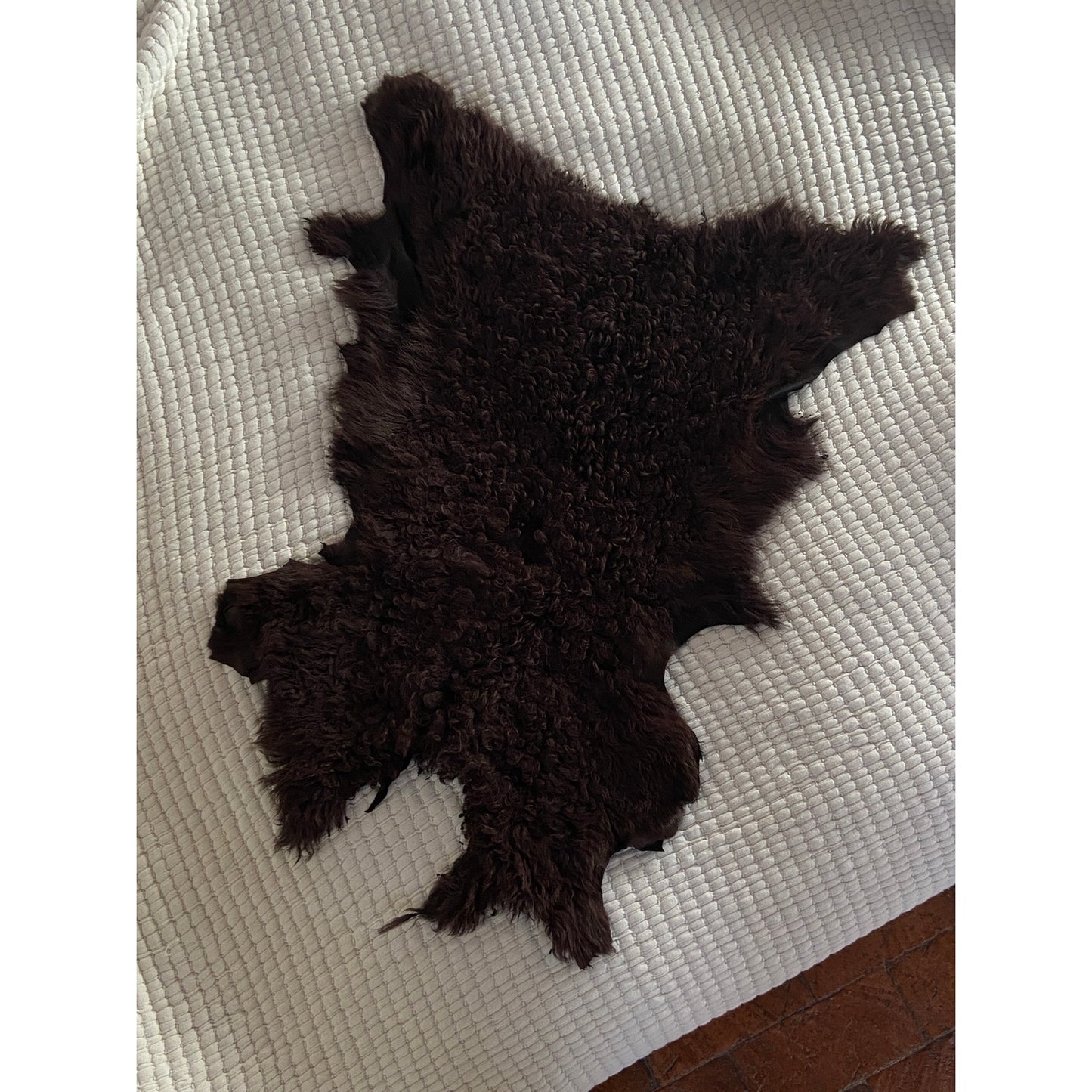 Genuine Curly Sheepskin